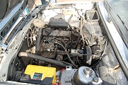 DSC_0595.JPG