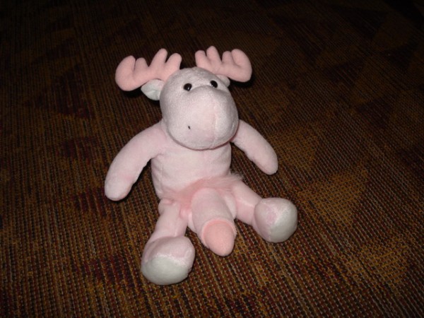 DSC00001.JPG