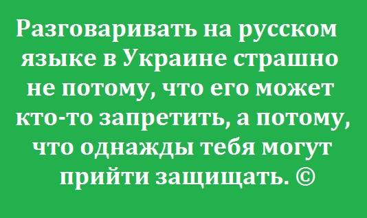 -p4cKmoh5iw.jpg