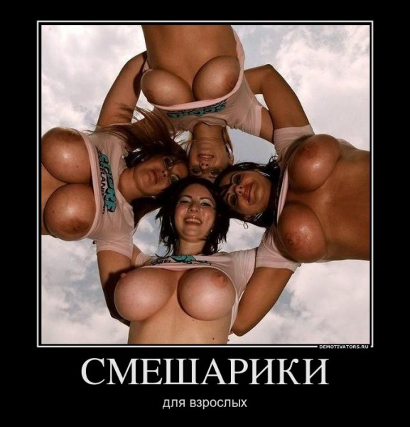 81460_smeshariki.jpg