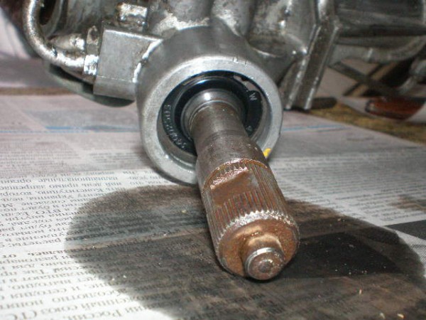 P8280014.JPG