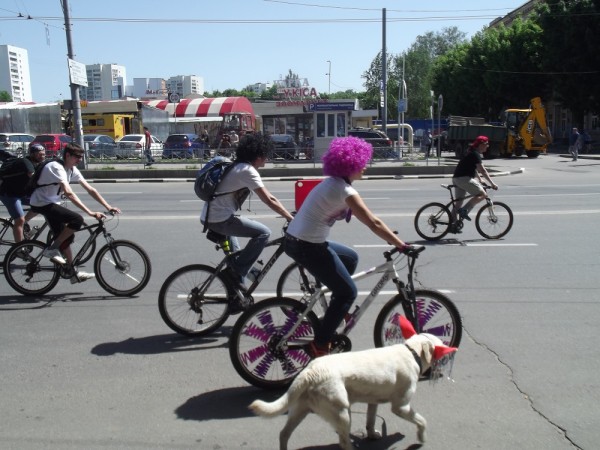 DSCF4238.JPG