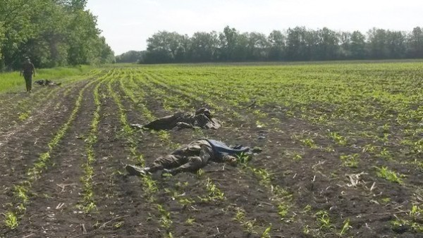 бойцы1.jpg