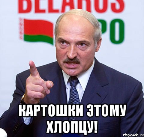 беларусь-картошка-668470.jpeg