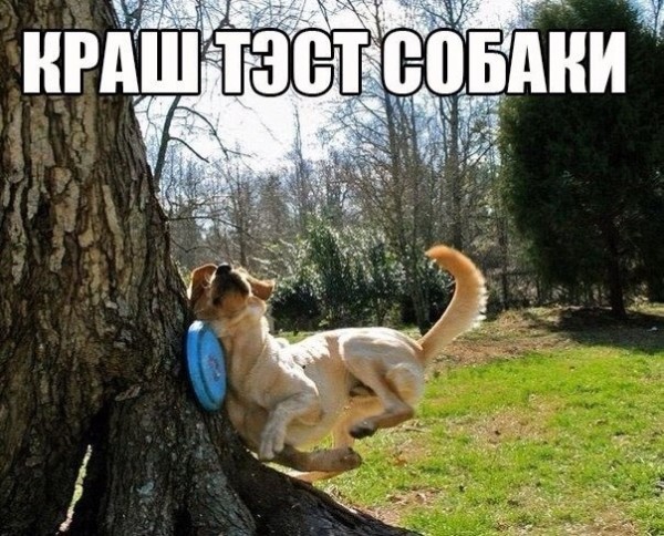h6dFrKqNan8.jpg
