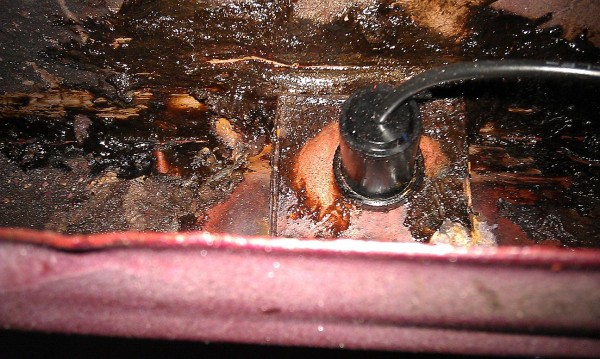 IMAG0677.jpg
