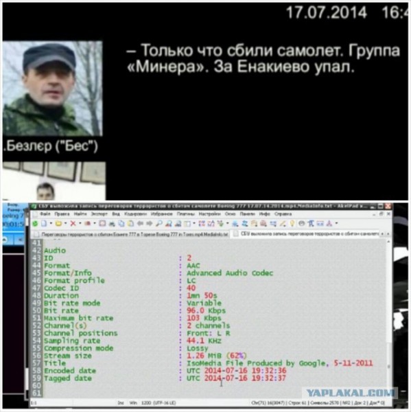 3580789.jpg