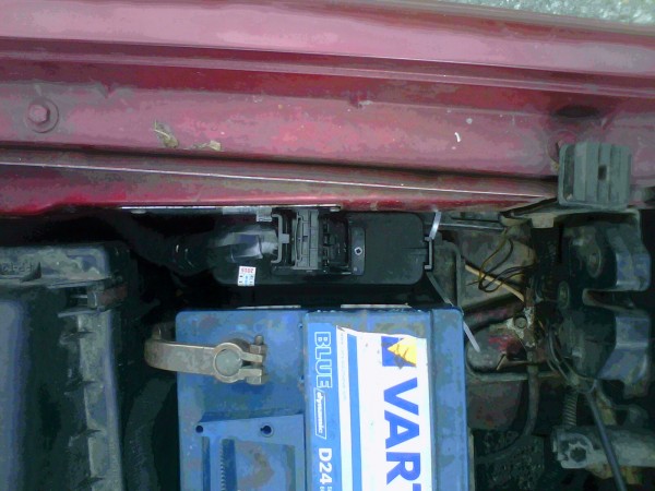 IMG0003A.jpg