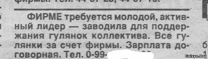 4984914.jpg