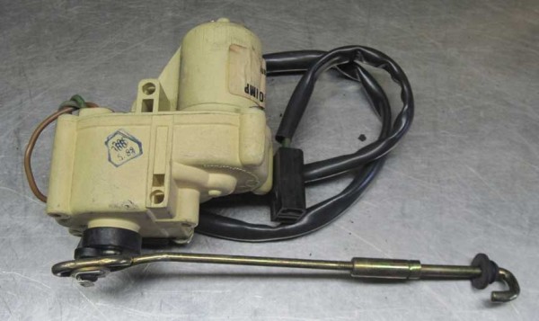 240_Trunk_Popper_04.jpg
