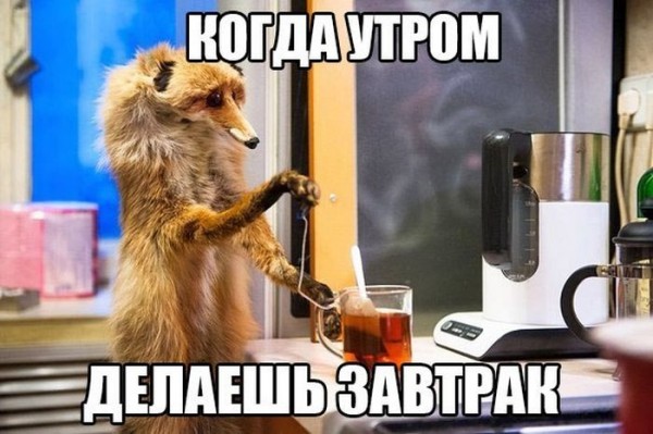 1412230008_podborka_56.jpg