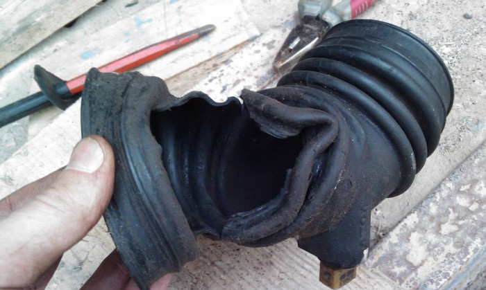 IMAG0615-.jpg