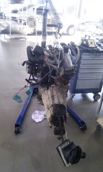 IMAG0558.jpg