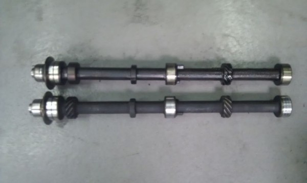 IMAG0568.jpg