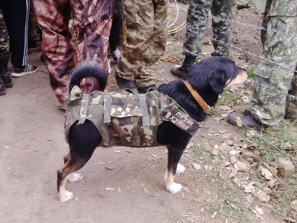 ПТН ХЛО.jpg