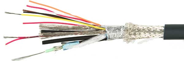 cat331b.jpg