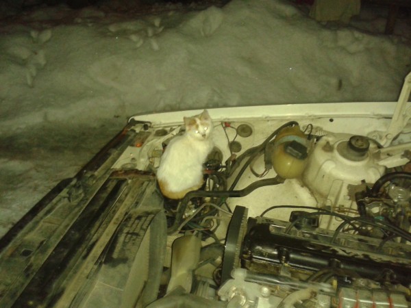 20150113_174521.jpg