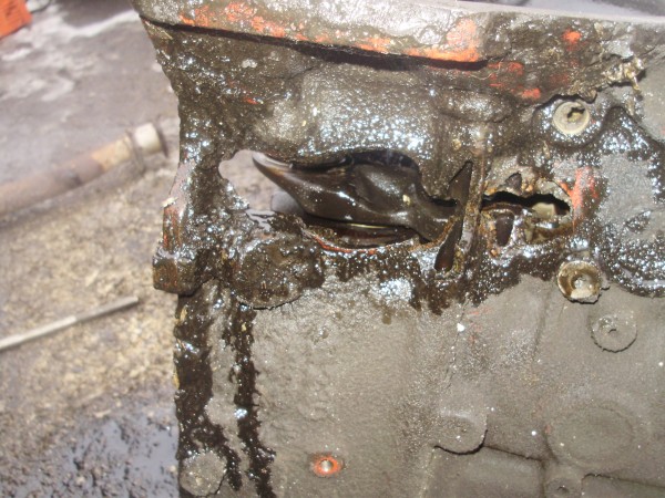 PA300751.JPG