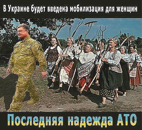 getImage (10).jpg