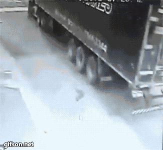 gif-11022015-011.gif