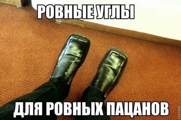 297154_787129.jpg