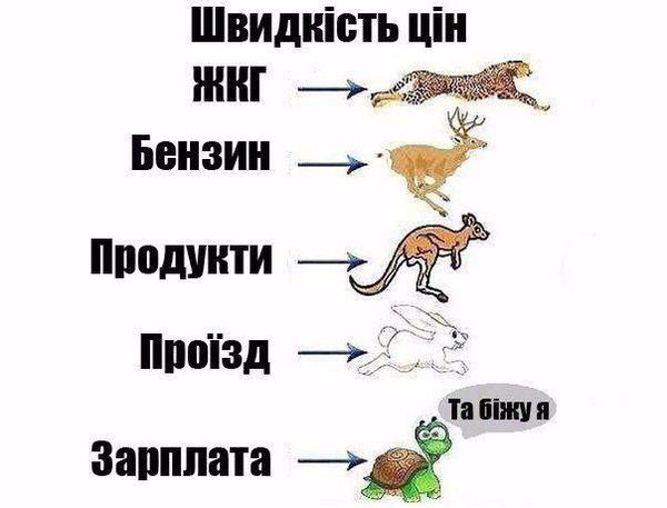 600x457.jpg