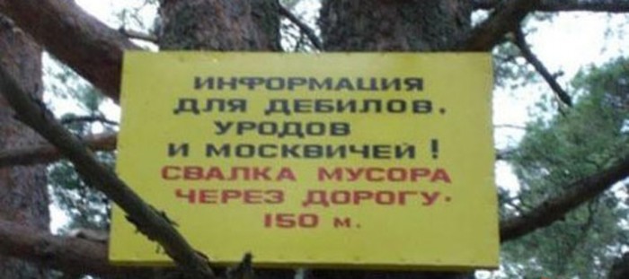 1293105717_4.jpg