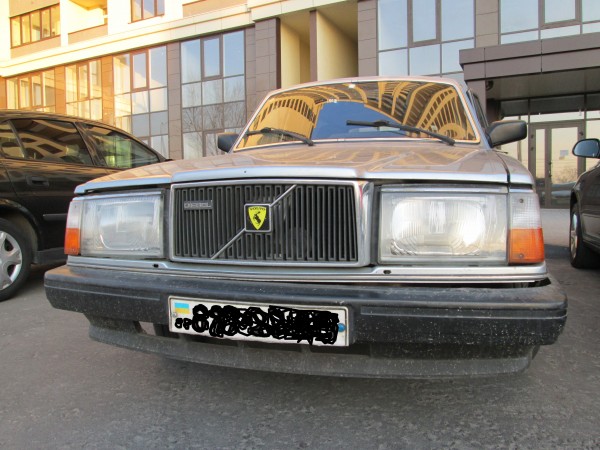 245.jpg