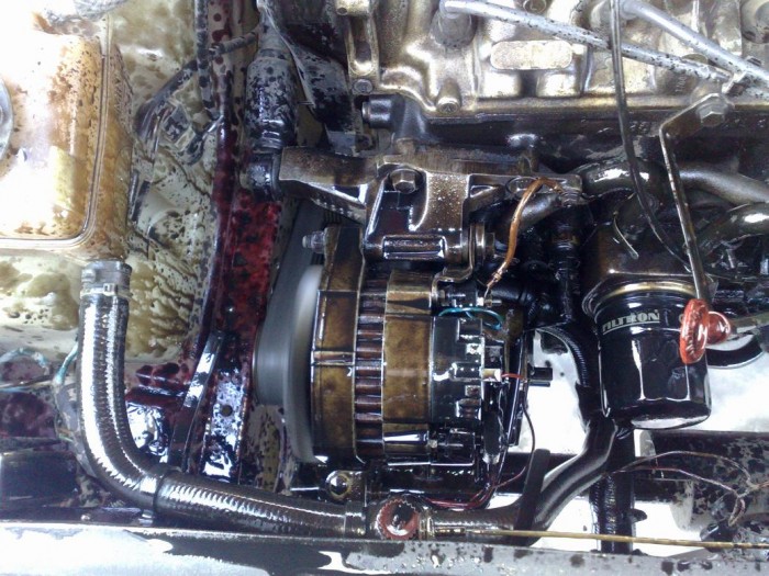 06012011331.jpg