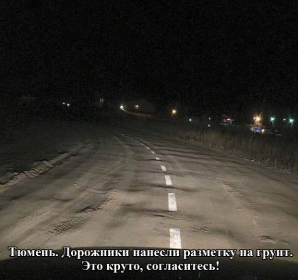 299508_801726.jpg