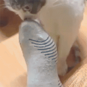 1390881817_gifs_18.gif