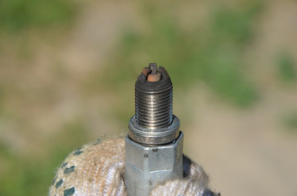 DSC_5542.JPG