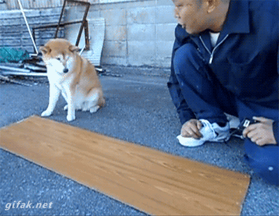 be74891a5cb2068a04e2c13f2a1.gif