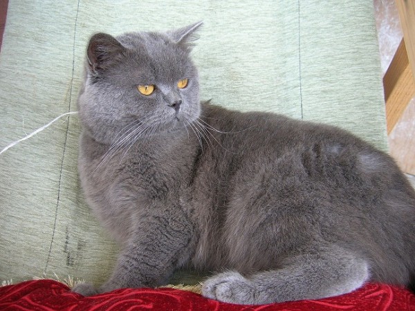 DSCN1560.JPG