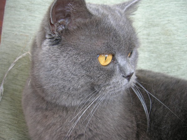 DSCN1561.JPG