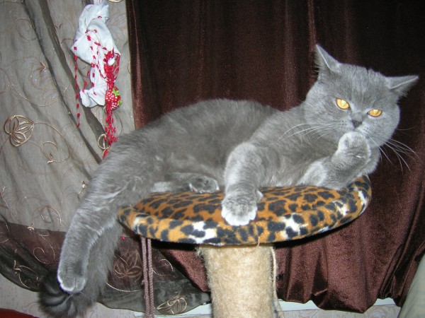 DSCN1401.JPG