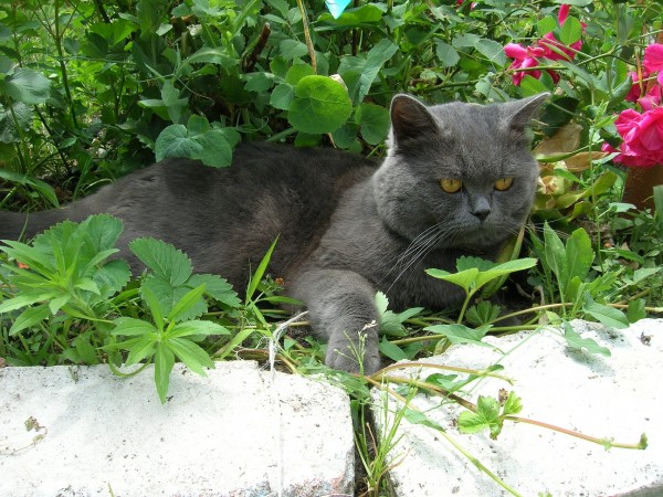 DSCN1562.JPG
