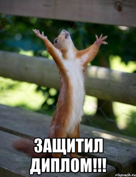 belka_22054218_orig_.jpg
