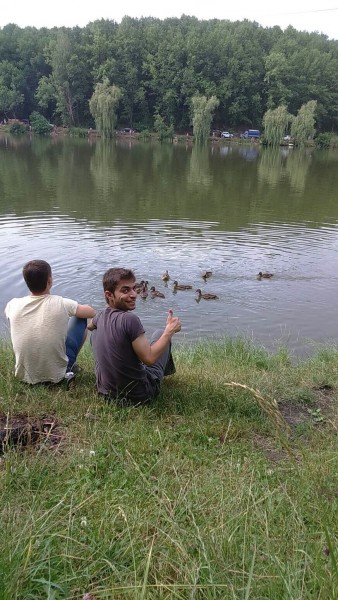 image.jpg