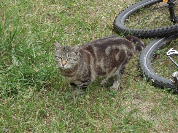 DSCF5244.JPG