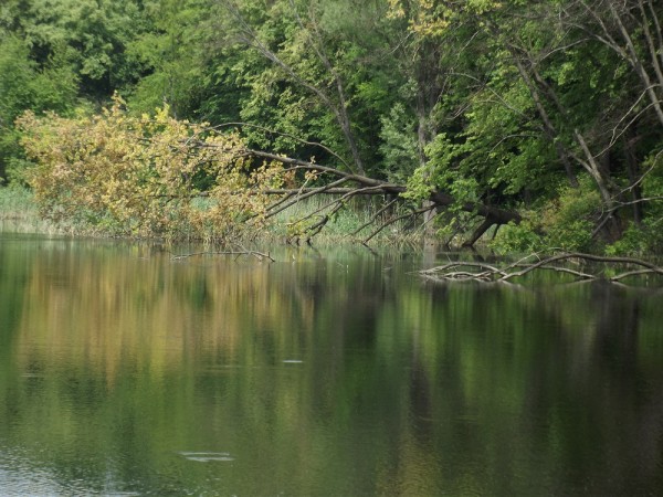 DSCF5349.JPG