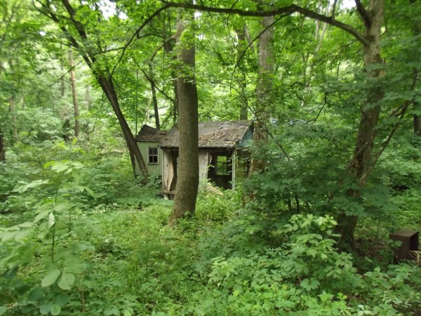 DSCF4615.JPG