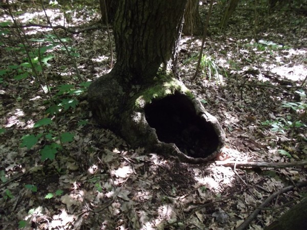 DSCF5339.JPG