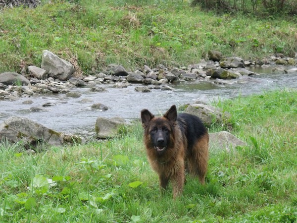 DSCF7872.JPG