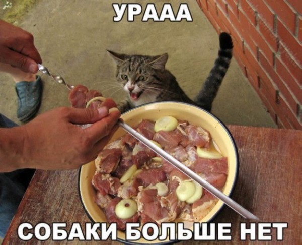 303977_833127.jpg