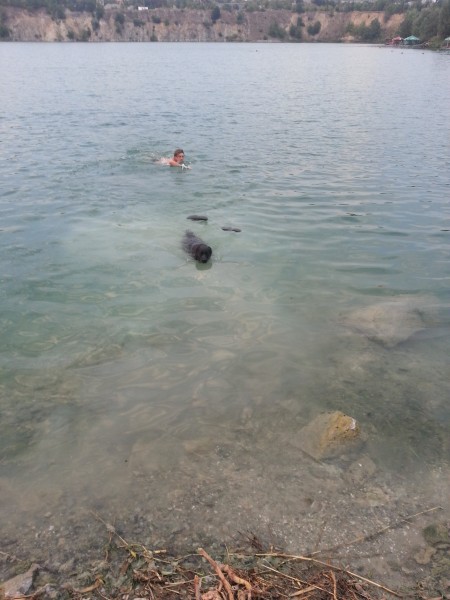 20150812_192224.jpg