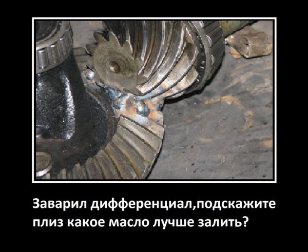 t3XmlWwDiLw.jpg