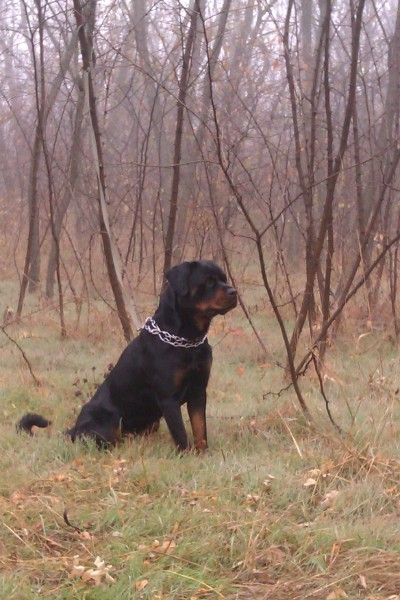 IMAG0809.jpg