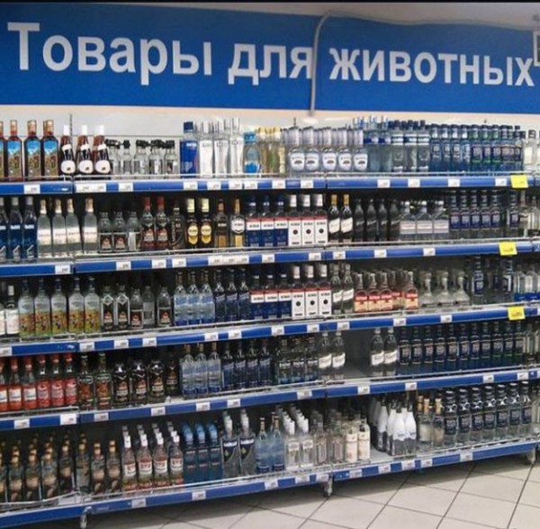 304760_840843.jpg