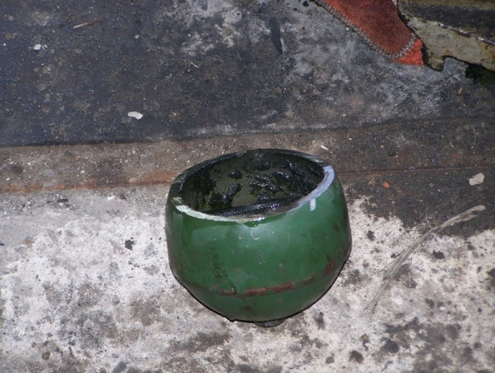 100_5861.JPG